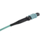 OM3 12F MPO zu MPO-LWL - Kabel